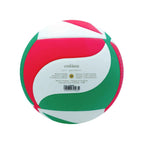 Balón de voleibol Molten V5M4000, vista posterior